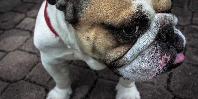 产学研深度融合:江苏恒深如何借力高校科研院所打造精密机械新引擎?