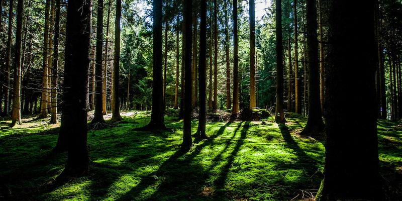 从机械制造到智慧能源：江苏恒深智能运维平台如何重塑光伏电站管理
